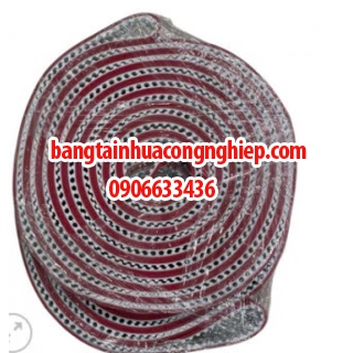  Băng tải xích nhựa